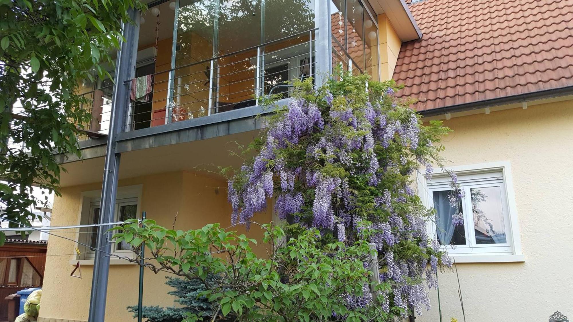 Ferienwohnung Miezerle Steisslingen Exterior foto